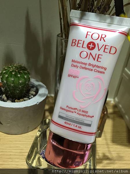 相片 2015-11-16 下午11 58 52.jpg