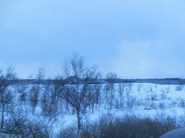 389295_357726387602009_38249235_n