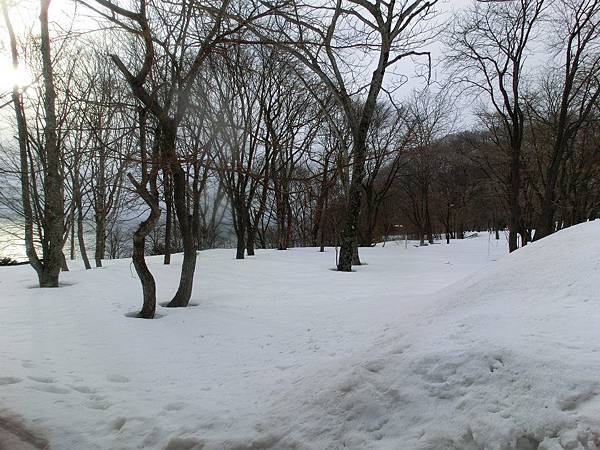 523051_357730637601584_1712249022_n