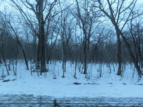 529060_357727014268613_712935473_n