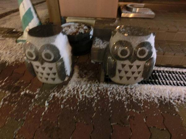 545007_357737924267522_1038137493_n