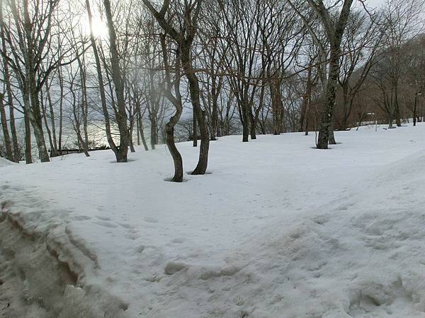 560192_357730817601566_1696857182_n