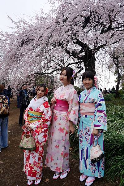 P1320420_副本.jpg P1320420_副本.jpg