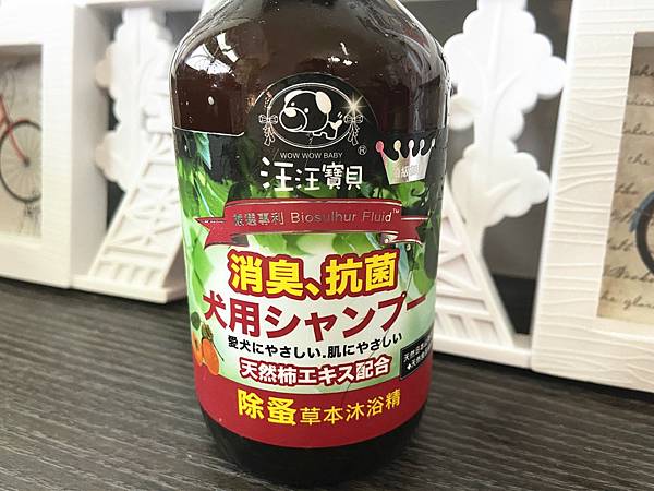 貓咪洗澡推薦_汪汪寶貝