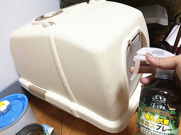 貓咪洗澡推薦_汪汪寶貝