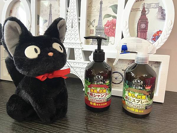 貓咪洗澡推薦_汪汪寶貝