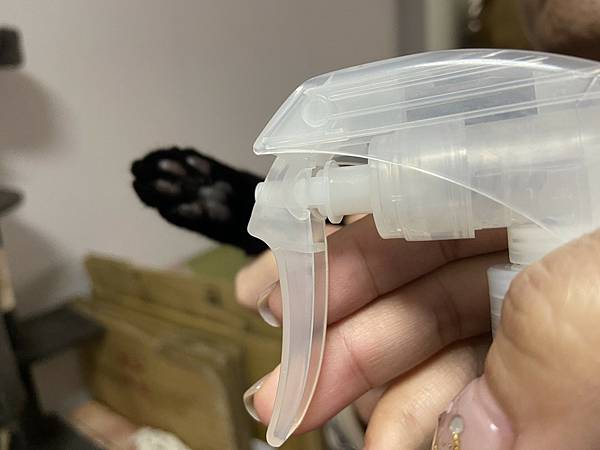 貓咪洗澡推薦_汪汪寶貝