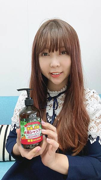 貓咪洗澡推薦_汪汪寶貝