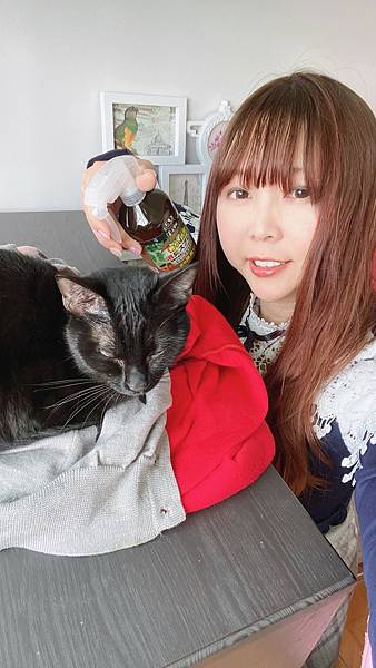 貓咪洗澡推薦_汪汪寶貝