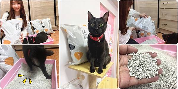 猫后苑猫砂.JPG