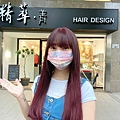 精萃髮廊 (101).jpg