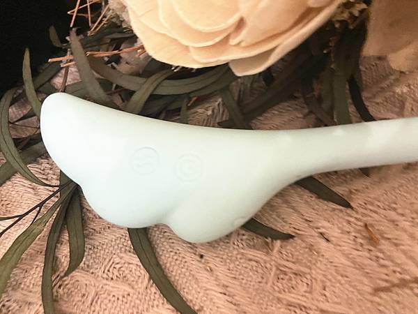 精靈之箭 (24).jpg