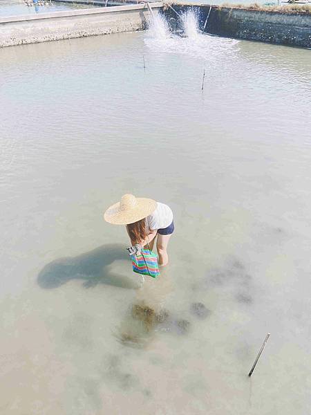 成龍社區.成龍濕地.捌貳 (17).jpg