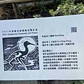 成龍社區.成龍濕地.捌貳 (42).jpg