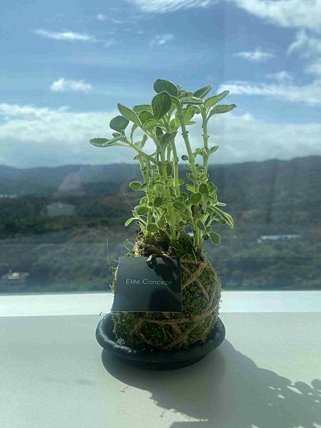 萬怡酒店 (98).jpg