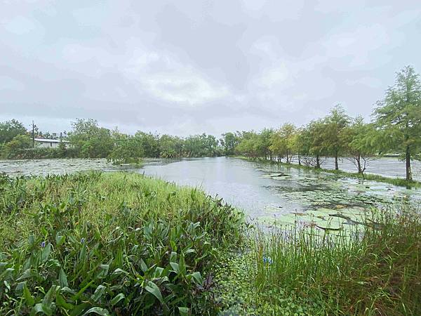 勝洋農場.結頭份社區.鐵牛力阿卡 (55).jpg