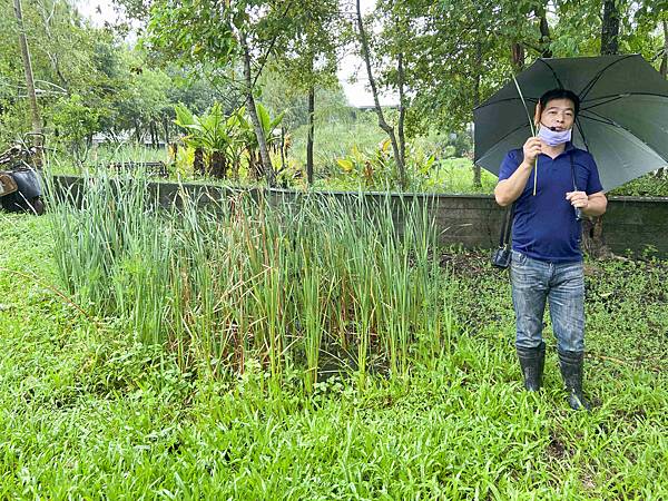 勝洋農場.結頭份社區.鐵牛力阿卡 (59).jpg