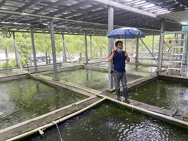 勝洋農場.結頭份社區.鐵牛力阿卡 (60).jpg