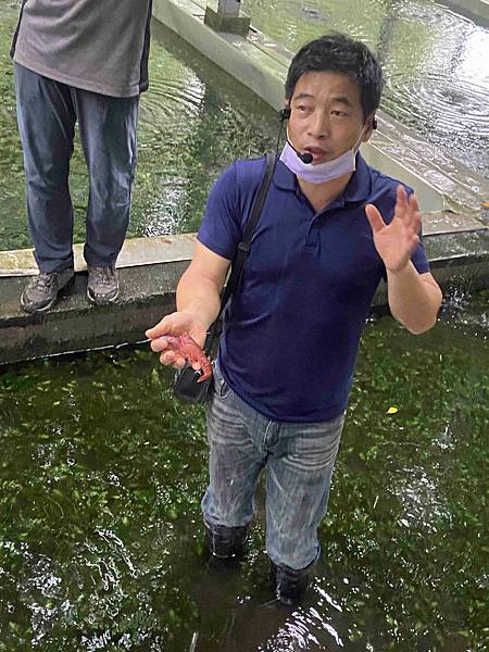 勝洋農場.結頭份社區.鐵牛力阿卡 (61).jpg