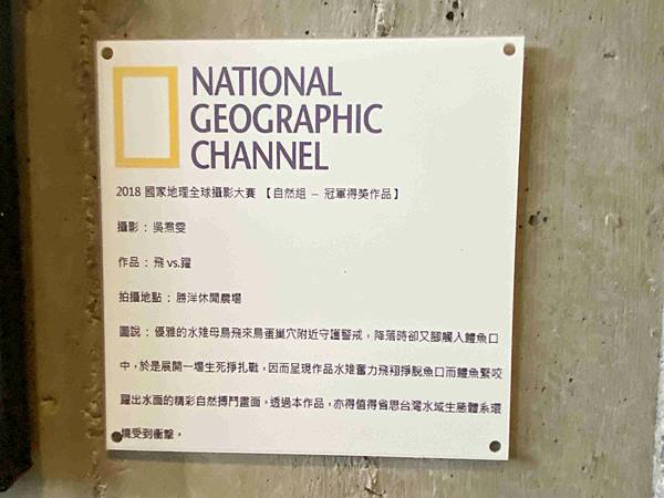 勝洋農場.結頭份社區.鐵牛力阿卡 (67).jpg