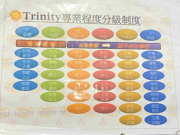 趨勢英語桃園 (29).jpg