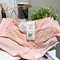 玉如阿姨內衣 (76).jpg