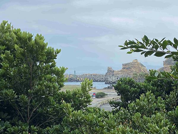 金山萬里溫泉美食之旅野柳汪汪地瓜園 (27).jpg