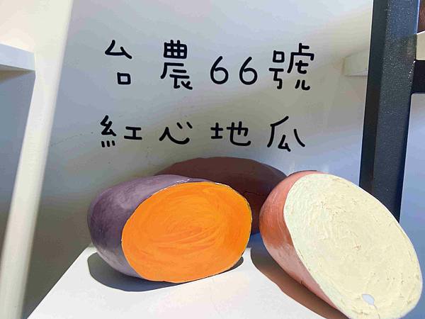 金山萬里溫泉美食之旅野柳汪汪地瓜園 (106).jpg