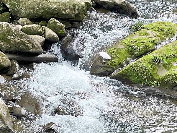 品位新北魅力農村平溪平碇 (84).jpg