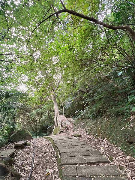 品位新北魅力農村平溪平碇 (90).jpg