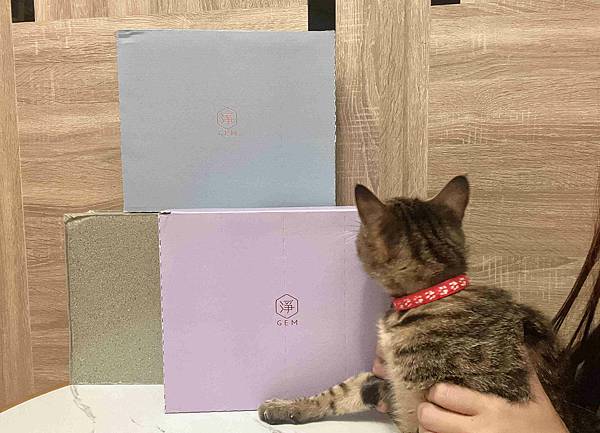 Gem‧淨天然無塵鈉基硅膠礦砂 (39).jpg