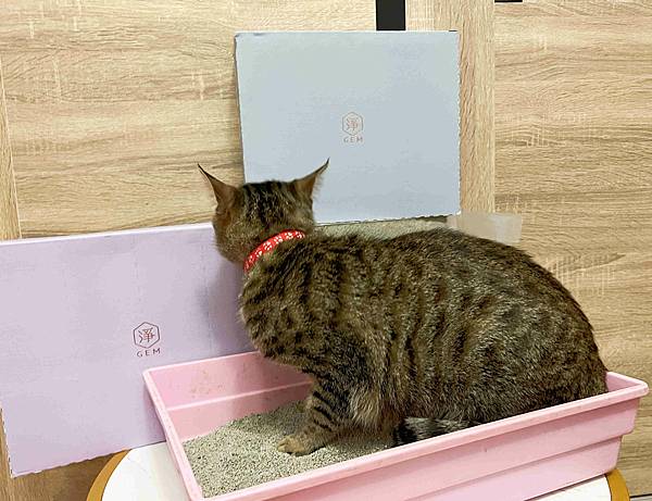 Gem‧淨天然無塵鈉基硅膠礦砂 (45).jpg