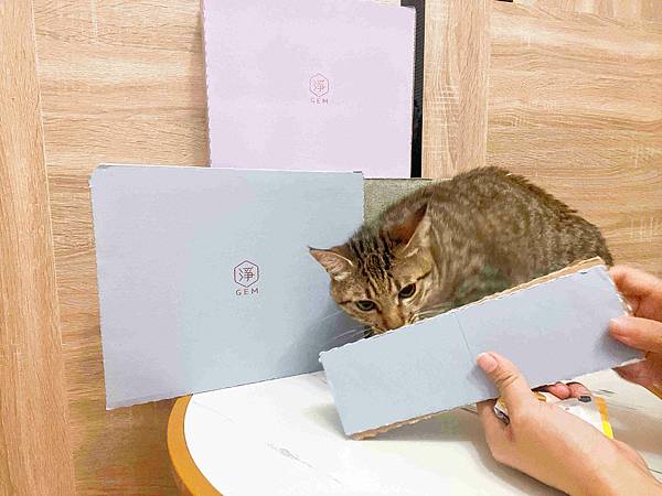 Gem‧淨天然無塵鈉基硅膠礦砂 (43).jpg