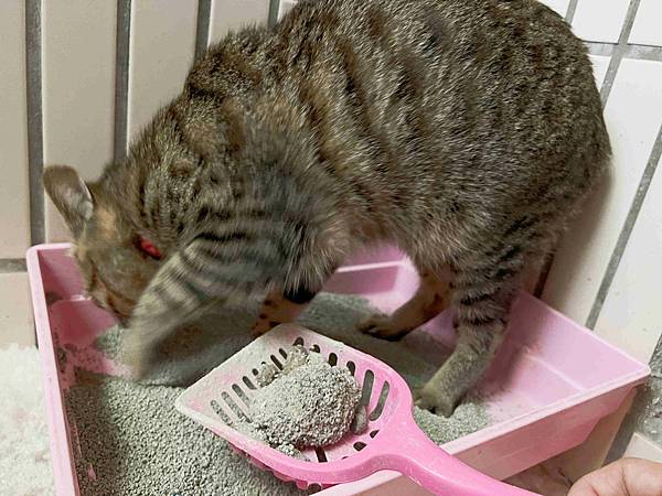 Gem‧淨天然無塵鈉基硅膠礦砂 (53).jpg