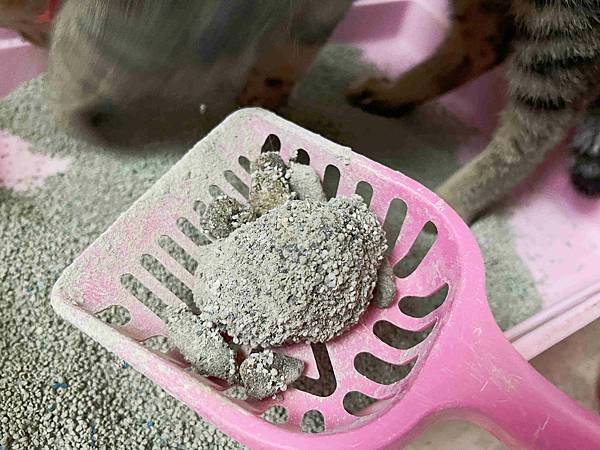 Gem‧淨天然無塵鈉基硅膠礦砂 (54).jpg