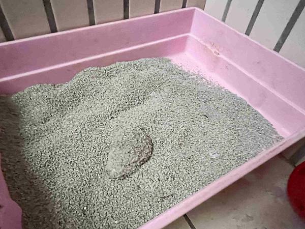 Gem‧淨天然無塵鈉基硅膠礦砂 (56).jpg