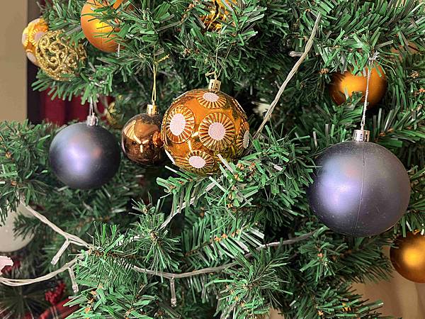 美極品補光燈 (10).jpg