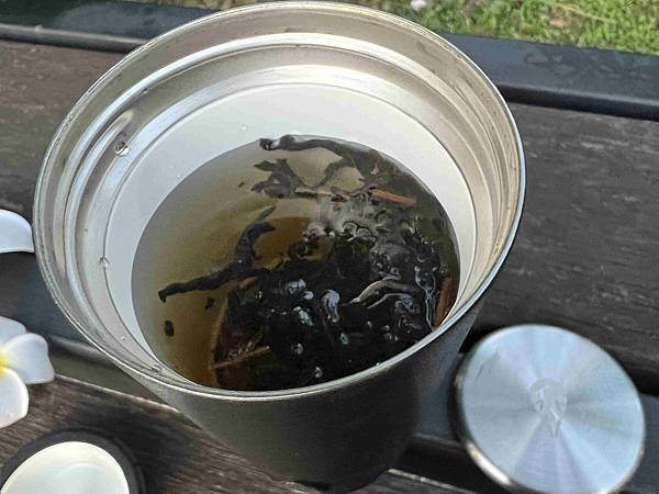 ECLIPSE 隨行濾茶壺 (37).jpg