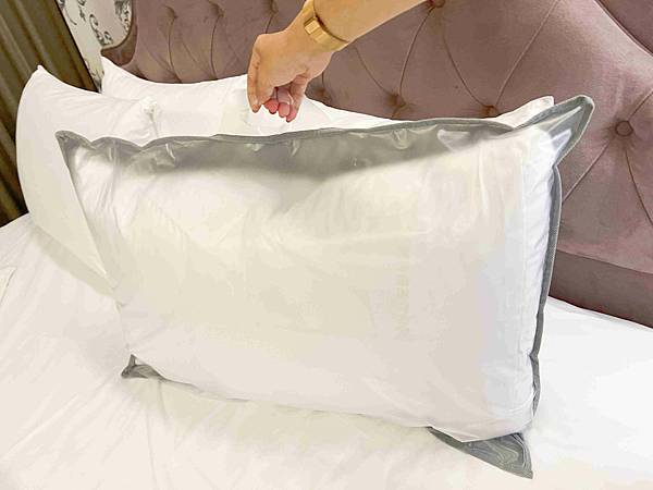 CHIHAI七海生活家天然羽毛枕 (19).jpg