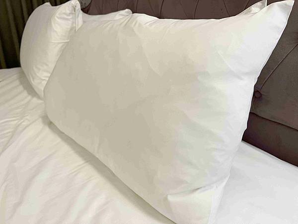 CHIHAI七海生活家天然羽毛枕 (17).jpg