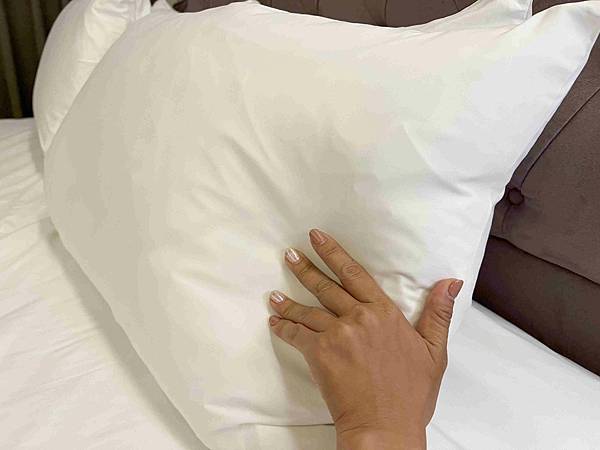 CHIHAI七海生活家天然羽毛枕 (18).jpg