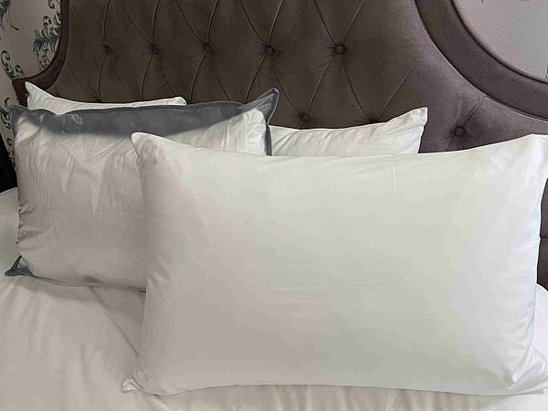 CHIHAI七海生活家天然羽毛枕 (20).jpg
