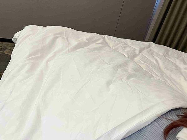 CHIHAI七海生活家天然羽毛枕 (21).jpg