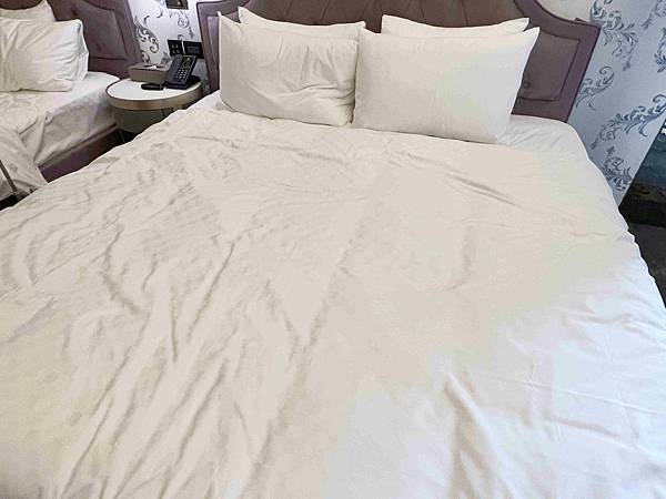 CHIHAI七海生活家天然羽毛枕 (22).jpg