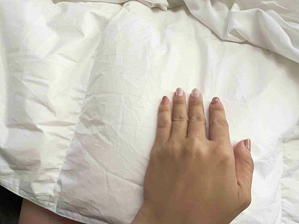 CHIHAI七海生活家天然羽毛枕 (24).jpg