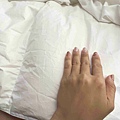 CHIHAI七海生活家天然羽毛枕 (24).jpg