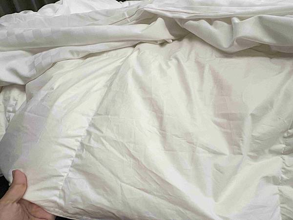 CHIHAI七海生活家天然羽毛枕 (23).jpg