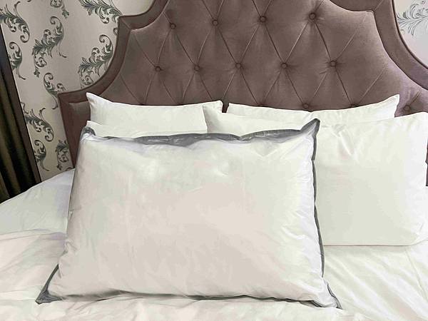CHIHAI七海生活家天然羽毛枕 (27).jpg