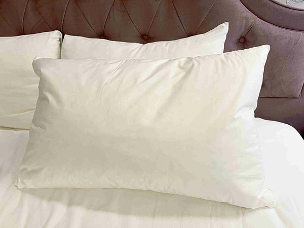 CHIHAI七海生活家天然羽毛枕 (33).jpg
