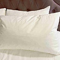 CHIHAI七海生活家天然羽毛枕 (33).jpg